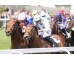  Carrera: P.Andrés Covarrubias Monta: V.Janacek Caballo: Tacarib Bay